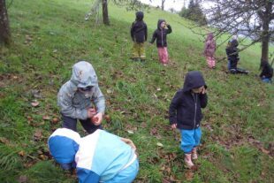 2024-11-13-OH-Kinderhaus Sonnenblume-Apfelernte-IMG_0186