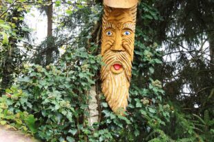 2024-11-13-ZE-UE-Erna Schäfer-Wandergruppe Entersb-Abschl. Seelbach-DSCN5151