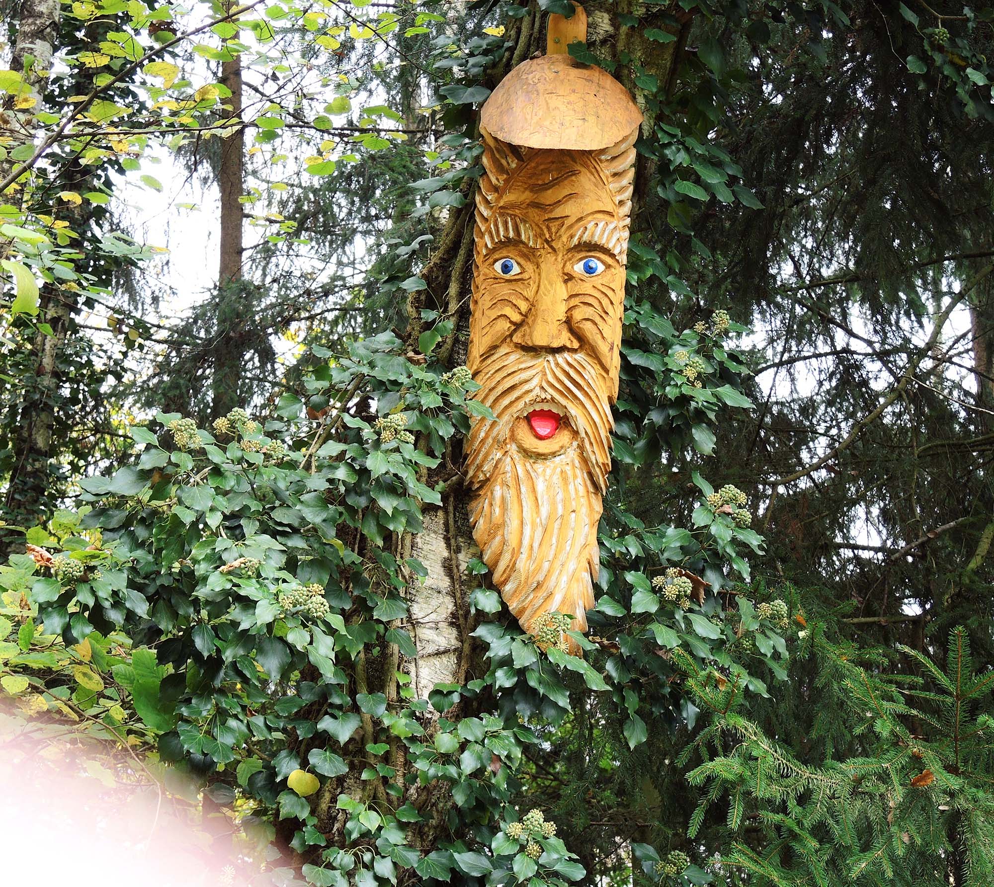 2024-11-13-ZE-UE-Erna Schäfer-Wandergruppe Entersb-Abschl. Seelbach-DSCN5151