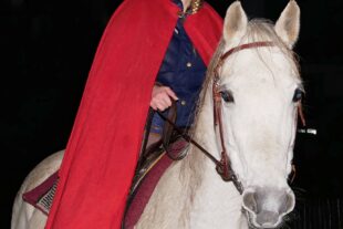 2024-11-15-ZE-UE-Martin Huber St Martin-06 St. Martin hoch zu Ross (Maira Pöpsel)