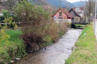 2024-11-27-ZE-UE-ga-Ortschaftsrats-Sitzung-Fischereirechte verpachten-IMG_8921