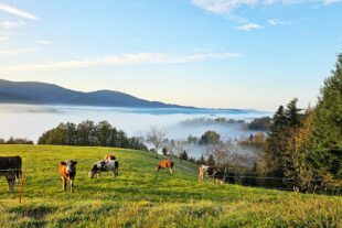 2024-11-8-OH-Tanja Kasper-Wetterbilder-1000072894