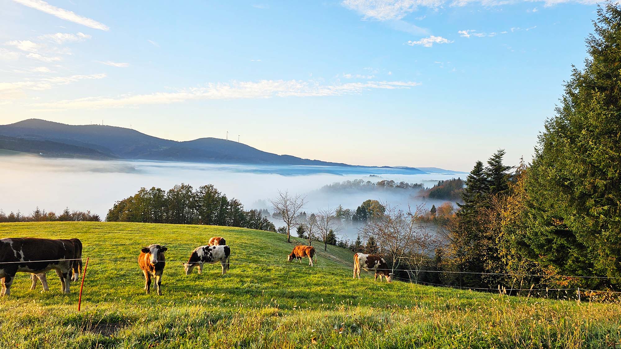 2024-11-8-OH-Tanja Kasper-Wetterbilder-1000072894