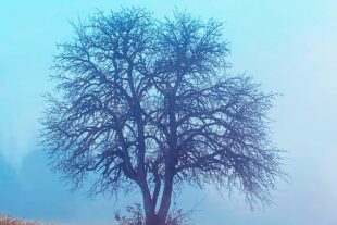 2024-11-8-ZE-Sybille Spathhelf-Herbstfotots-IMG_8486