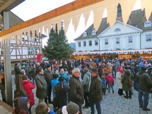 Klein aber fein und sehr beliebt