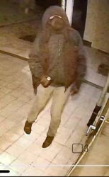 Maskierte Personen schleichen nachts um Grundstücke