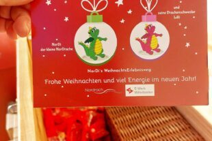 2025-1-22-NO-Touristen-Information-Rückblick Nordi-20241129_102105