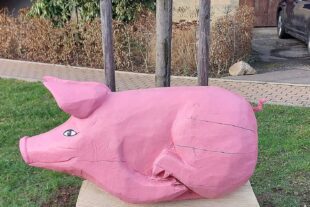 2025-2-17-ZE-UH-Patrick Friedmann Saumusikplatz