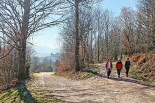 2025-3-12-NO-DAV-Seniorenwanderung in Reichenbach-03_2025_10