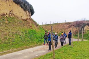 2025-3-26-ZE-UH-ibr- WuF Malterdingen Am Hang sind die Höhlen der Bienenfresser zu erkennen