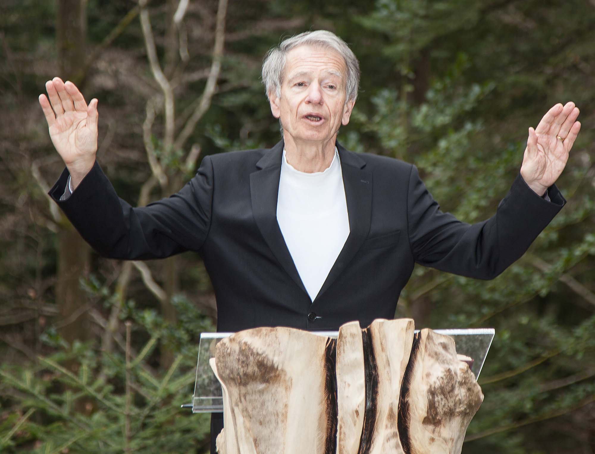 2025-3-31-OH-kal- Ruhewald Einweihung zIMG_3138