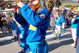 2025-3-5-NO-hv-Umzug Nordrach-20250303_150140