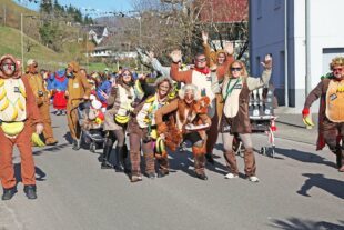 2025-3-5-OH-kal-Umzug-zIMG_2936