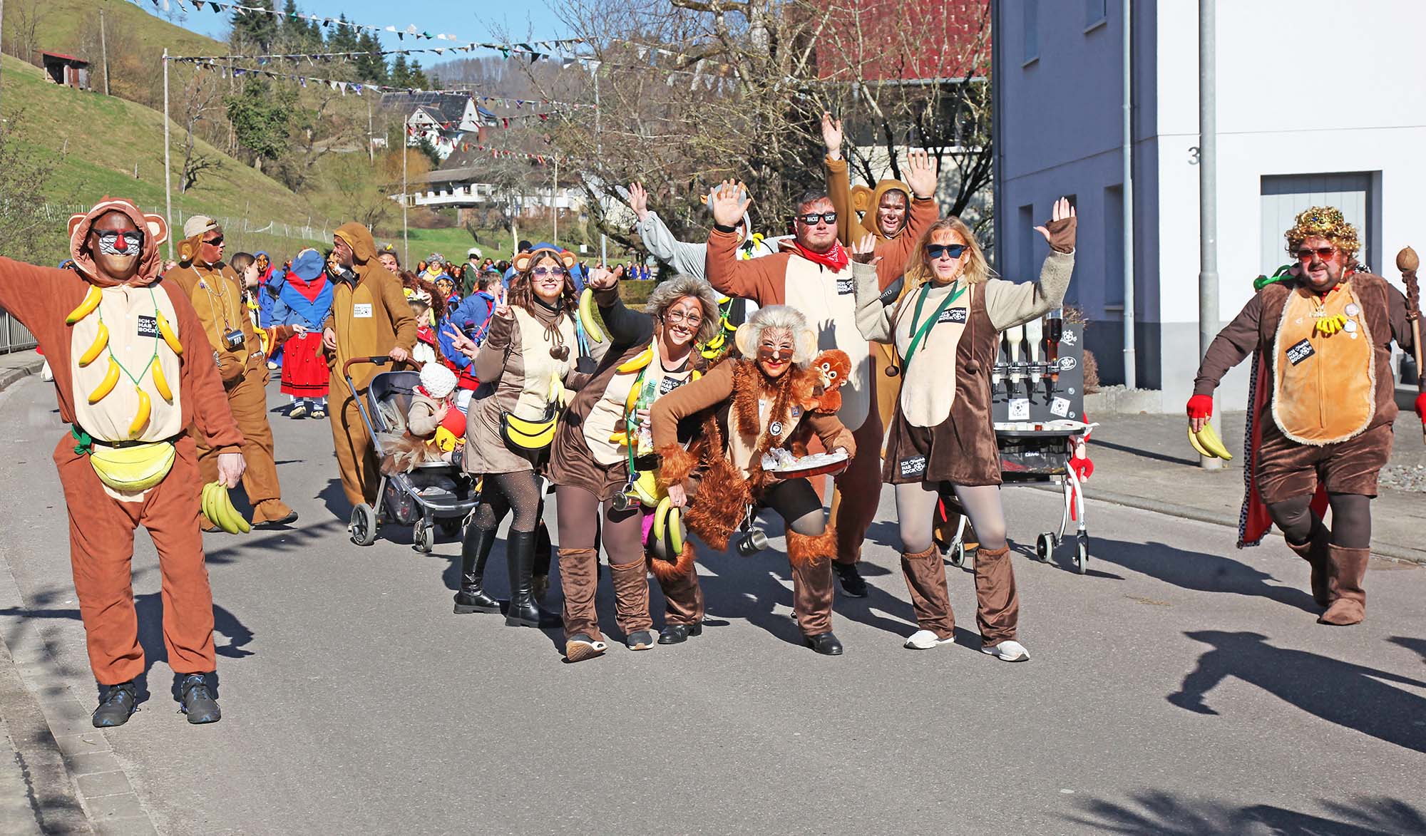 2025-3-5-OH-kal-Umzug-zIMG_2936