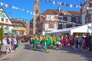 2025-3-5-OH-kal-Umzug-zIMG_2949