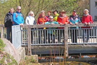 Schwarzwaldverein wandert durch den Storenwald