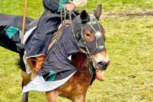 2025-4-17-NO-Tourist Info- Mittelaltermarkt Markus von Heudorf mit Kaya