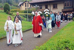 2025-4-17-NO-hv-Palmsonntag-DSC_1953