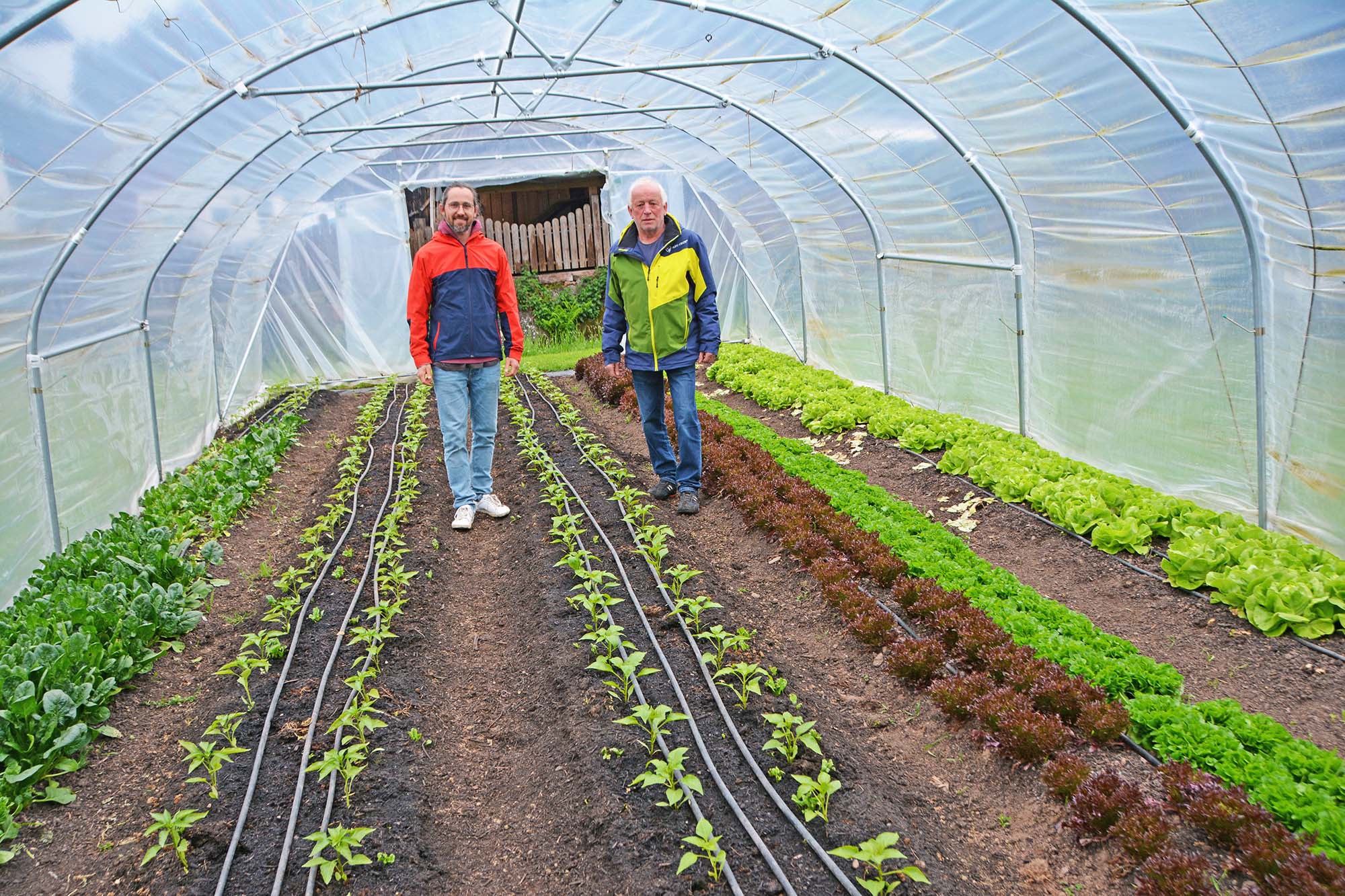 2025-4-25-ZE-UH-hps-Riebemühle Marktgarten-DSC_0696 2