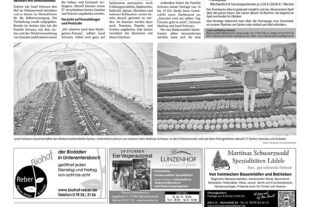 20250425-DB3-4-1.indd