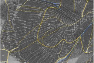 2025-3-14-ZE-UE-8 Allmendwald-Aufteilung PDF_Seite_2