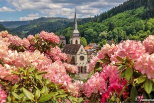 Stacked from 2 images. Method=A (R=8,S=4)