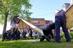 2025-5-2-ZE-UE-Martin Huber-Maibaumstellen-Starke Männer und volle Konzentration beim aufstellen des Maibaums-min