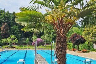 2025-5-21-OH-Volker Werthwein- Freibad OH WhatsApp Image 2025-05-20 at 16.16.31