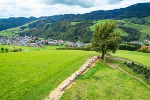 2025-5-23-OH-Heimatlichter_Schwarzwald Tourismus GmbH- Zeit für ein Picknick an der langen Baumstamm-Bank in Oberharmersbach_Foto Heimatlichter_Schwarzwald Tourismus GmbH