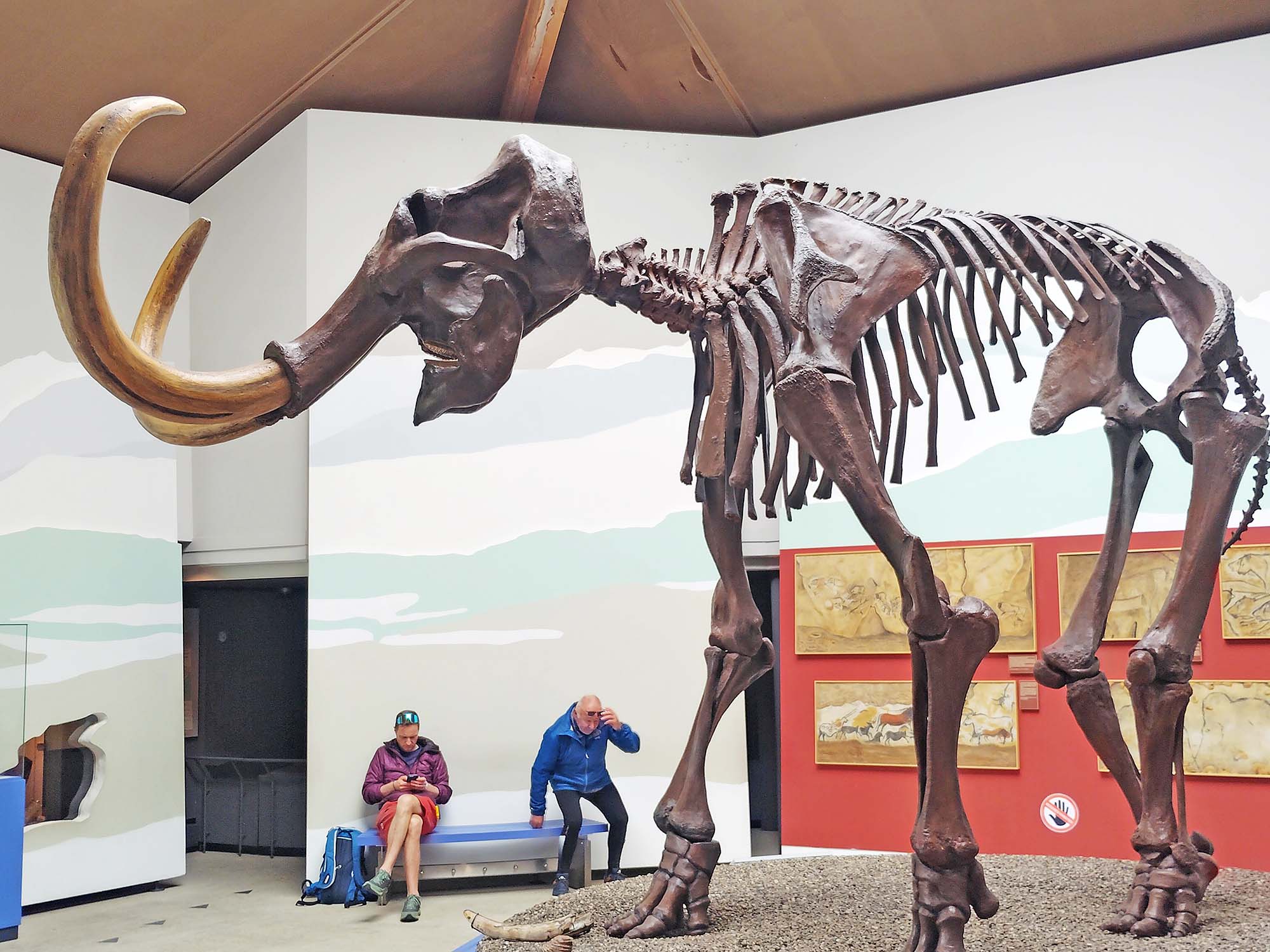 2025-5-23-ZE-UH-ibr-WuF-Radreise-Im Mamutmuseum in Siegstdorf