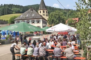 2025-6-10-BI-PB-lth- Pfingsthock Feuerwehrfest Foto 6 Besucher Montag IMG_2590