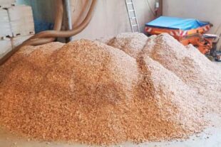 2025-6-10-OH- Stefanie Nock- Schwimmbad Neuigkeiten 2