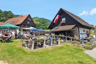 2025-6-13-NO-Chor der Klänge- Mühlentag Bild 2