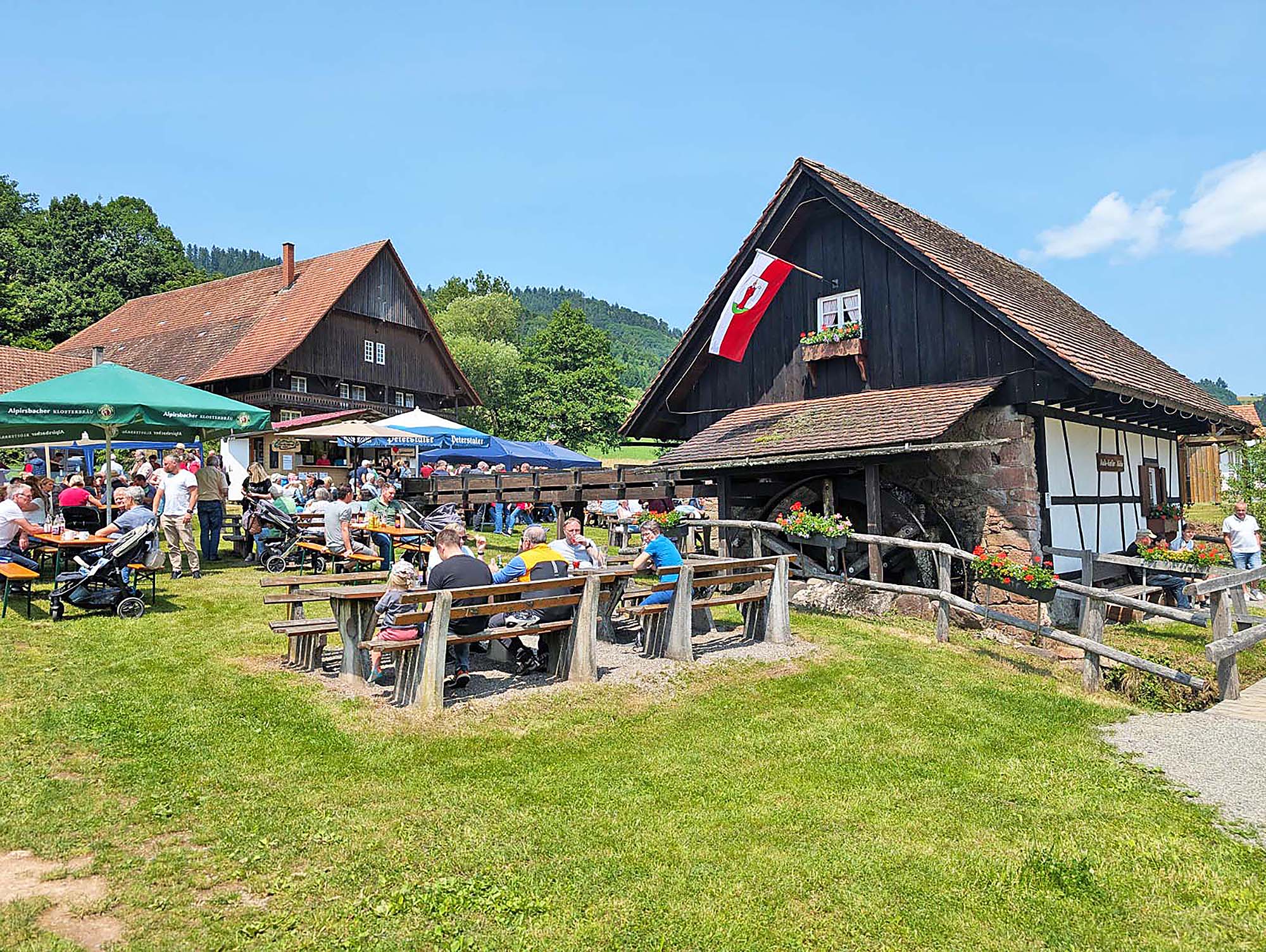 2025-6-13-NO-Chor der Klänge- Mühlentag Bild 2