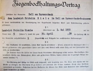 Kleine Tiere, große Vorschriften – Ziegen- und Schafzucht in Zell (1897–1950)