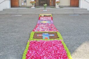 2025-6-20-BI-lth-St. Blasius Biberach-Fronleichnam 2025-250619 Foto 1