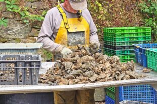 2025-6-20-NO-Wolfgang Krämer-Bild10_20250527_164709