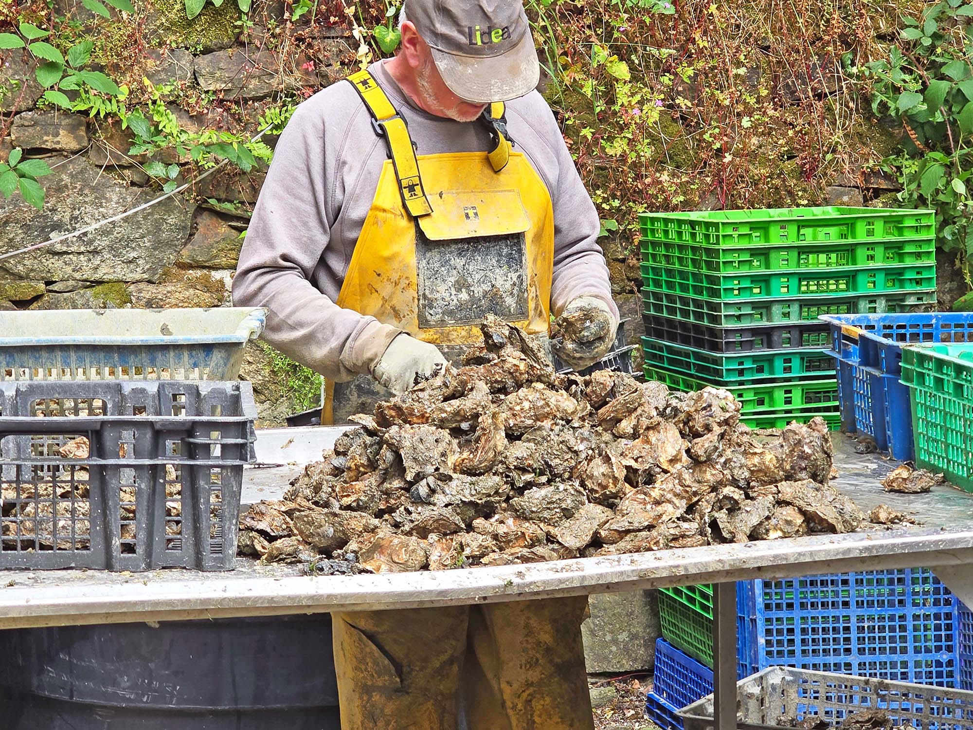 2025-6-20-NO-Wolfgang Krämer-Bild10_20250527_164709