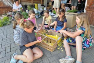 2025-6-23-OH-Simone Kech- Blumenteppiche Fronleichnam 3b7ff780-a061-4434-b4b4-3330b229f138