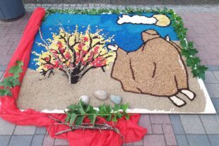 2025-6-23-OH-privat - Fronleichnam kirchlichbrennender Dornbusch