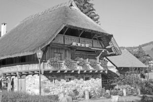 2025-6-27-OH-kal- SWV Serie 4 Aufgaben 20x28 Speicher SWV sw