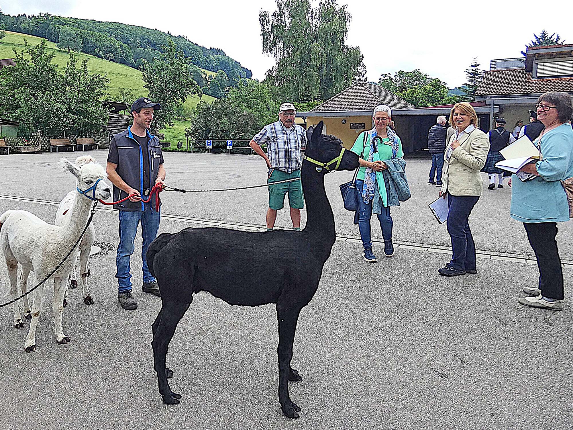 2025-6-4-BI-PB-bia-Prinzbach-Landesentscheid-und Alpakafreude