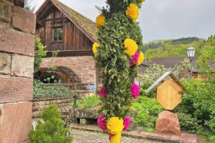 2025-6-4-OH-jil- Deutscher Mühlentag neuer Bienenschaukasten vor der Mühle