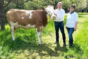 2025-7-21-OH-privat- Fleckviehschau 04_d3ad022a-8634-48c5-a536-b17ef5fbecbc