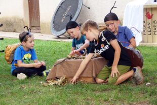 2025-7-23-ZE-UH-bia-Kindergarten Kleine Wolke-und-Ameisen