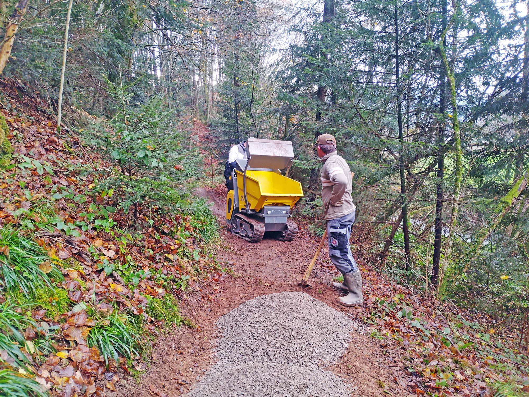 2025-7-25-ZE-UH-Iris Bruder-Bachwegle wird 30 Jahre-IMG_20241202_102915