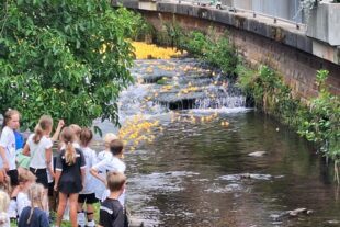 2025-7-9-OH-Verein-VdK-Entenrennen-Rennen Stufen im Bach