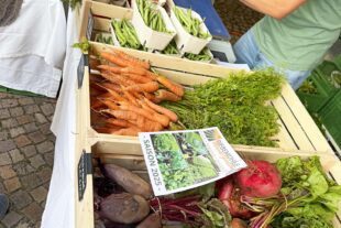 2025-8-1-BI-Nora Wälde-Erfolgreicher Auftakt OrtsMitte-Markt-IMG_1275