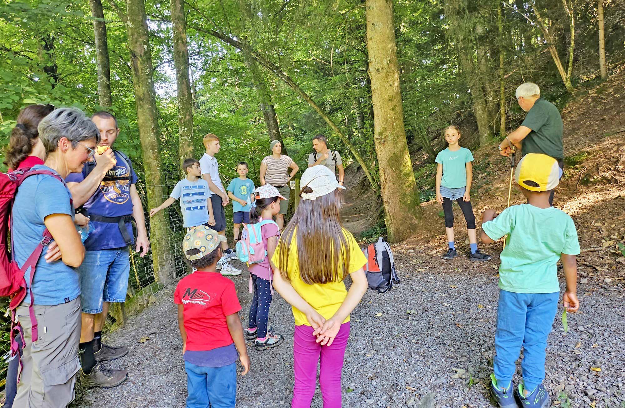 2025-8-13-NO-Arno Lehmann-Mit dem Förster durch den Winkelwald_Besprechungskreis im Wald