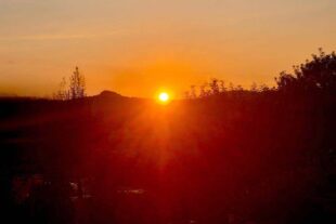 2025-8-15-BI-sp-Biberstarkes Ferienprogramm Wanderung Sonnenaufgang Bild 5